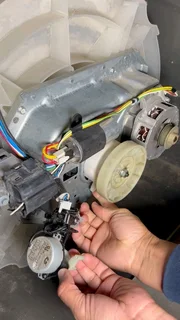 All Washing machines,All fridges,all tumble dryers,speed queensand dishwasher