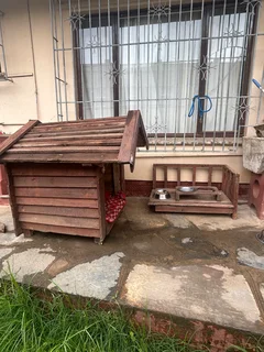 Large Dog Kennel