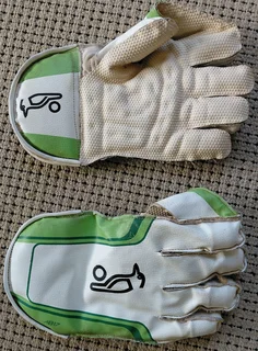 Full Cricket Gear Bundle – Pads, Gloves, Thigh Pads, WK Gloves