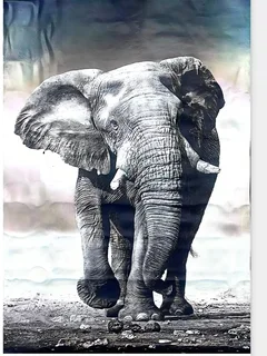 Beddings Blankets, Waterproof Mattress Protector, Couch Cover