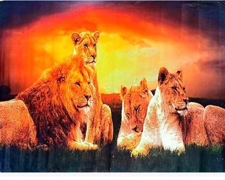 Beddings Blankets, Waterproof Mattress Protector, Couch Cover