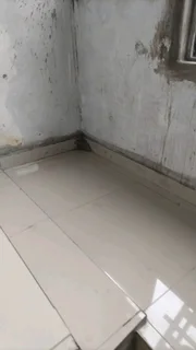 Paving ,tilling,roofing,painting, welding and building from scratch