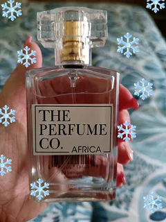 Mens Perfume