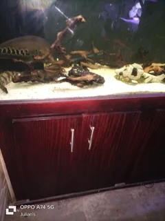 Fish tank. 700 liter