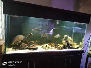 Fish tank. 700 liter