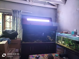 Fish tank. 700 liter