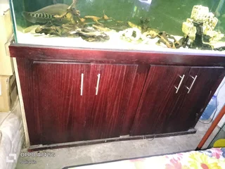 Fish tank. 700 liter