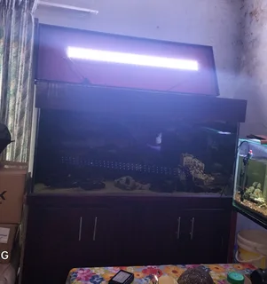 Fish tank. 700 liter