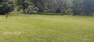 I'm looking job for garden