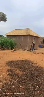 THATCH AND LAPA...THATCH ROOFING