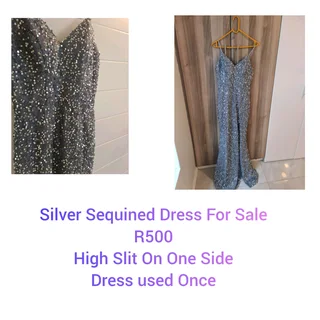 Silver Sequined Dress