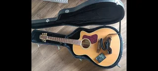 Guitar - Walden Steel string