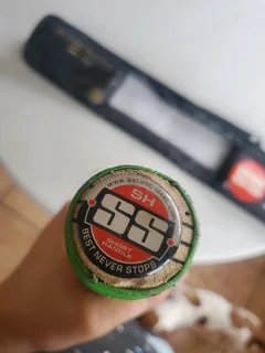 SS QDK POWER PLUS TON CRICKET BAT