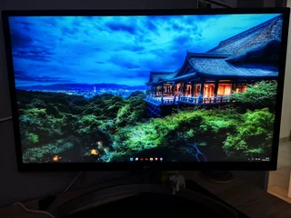 LG 27 Inch 4K IPS Monitor