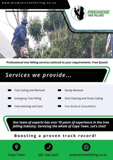 Tree removal landscaping and paving
