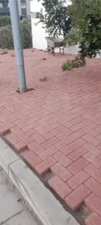 Tree removal landscaping and paving