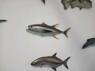 Model fish