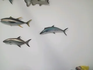 Model fish