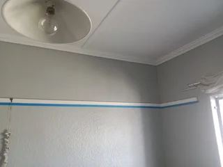 Professional painter with a Level 1 Rope Access Certificate, available for any painting Job