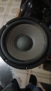 Sony 12 inch sub