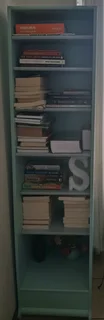 Turquise/mint Bookshelf