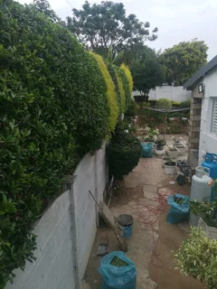 LOOKING FOR A JOB GARDENING WORK