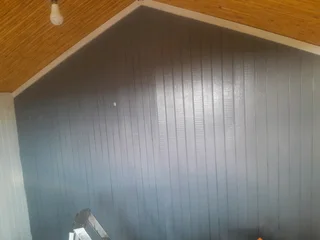 Looking for job me cannis like house painting, guest painting ,faccing ,brick work roofing hand man