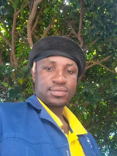 Looking for job me cannis like house painting, guest painting ,faccing ,brick work roofing hand man