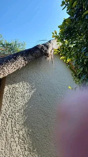 Fire proofing, Thatching, Thatch Repairs, Harvey Thatching Call or WhatsApp 0763457957