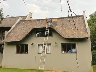 Fire proofing, Thatching, Thatch Repairs, Harvey Thatching Call or WhatsApp 0763457957