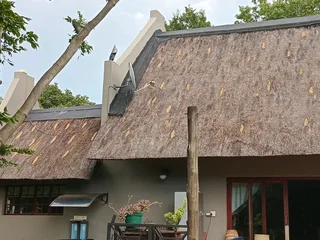 Fire proofing, Thatching, Thatch Repairs, Harvey Thatching Call or WhatsApp 0763457957