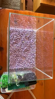 A fish tank with pump