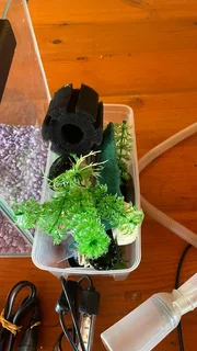 A fish tank with pump