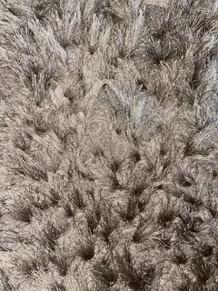 Carpet / Rug