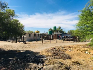 Fixer Upper Smallholding with two homesteads, fenced, pet friendly for a bargain!