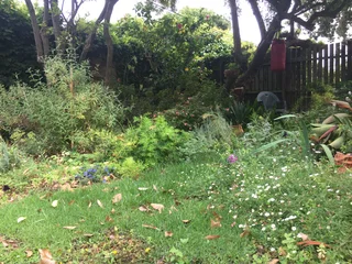 2 Bedroom Unfurnished Wanted