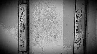 Harmonica - Ad posted by Maloney Persent