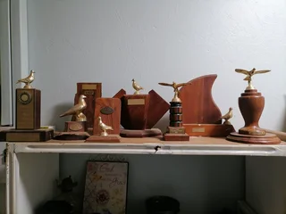 7 x Pigeon racing trophies for sale