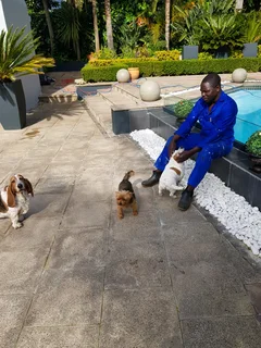 My name is Mathews bino malawian boy.looking for job as a gardener, painting and walking with dogs