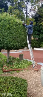 My name is Mathews bino malawian boy.looking for job as a gardener, painting and walking with dogs