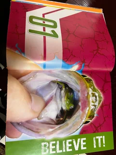 The Book - Ripley&#39;s Believe It or Not! Eye-Popping Oddities 2016&#34; is a non-fiction book.