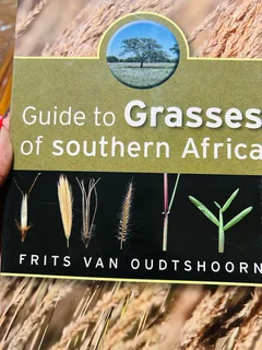 The Book - Guide to Grasses of Southern Africa by Frits van Oudtshoorn is a non-fiction book.