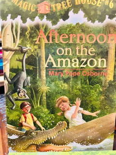 The Books - Magic Tree House Books 5-8 are *fiction* books, specifically historical fiction