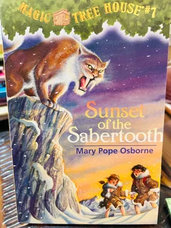 The Books - Magic Tree House Books 5-8 are *fiction* books, specifically historical fiction