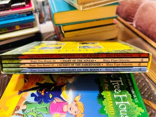 The Books - Magic Tree House Books 5-8 are *fiction* books, specifically historical fiction