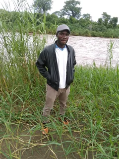 I'm Looking for the job