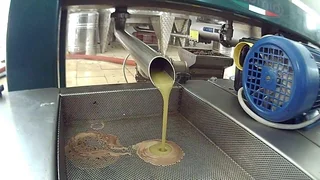 Fully Reconditioned Turnkey Olive Oil Extraction  machine Oliomio 150 full setup for sale.