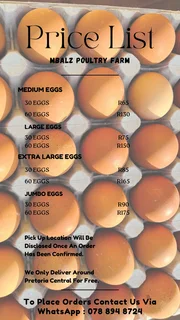 Eggs Pricelist