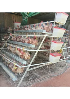 Chicken / Egg  Farm for sale in Hartswater Northern Cape