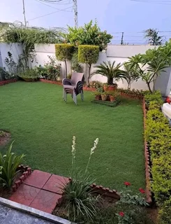 Cleaning, landscaping and garden, painting, moving help